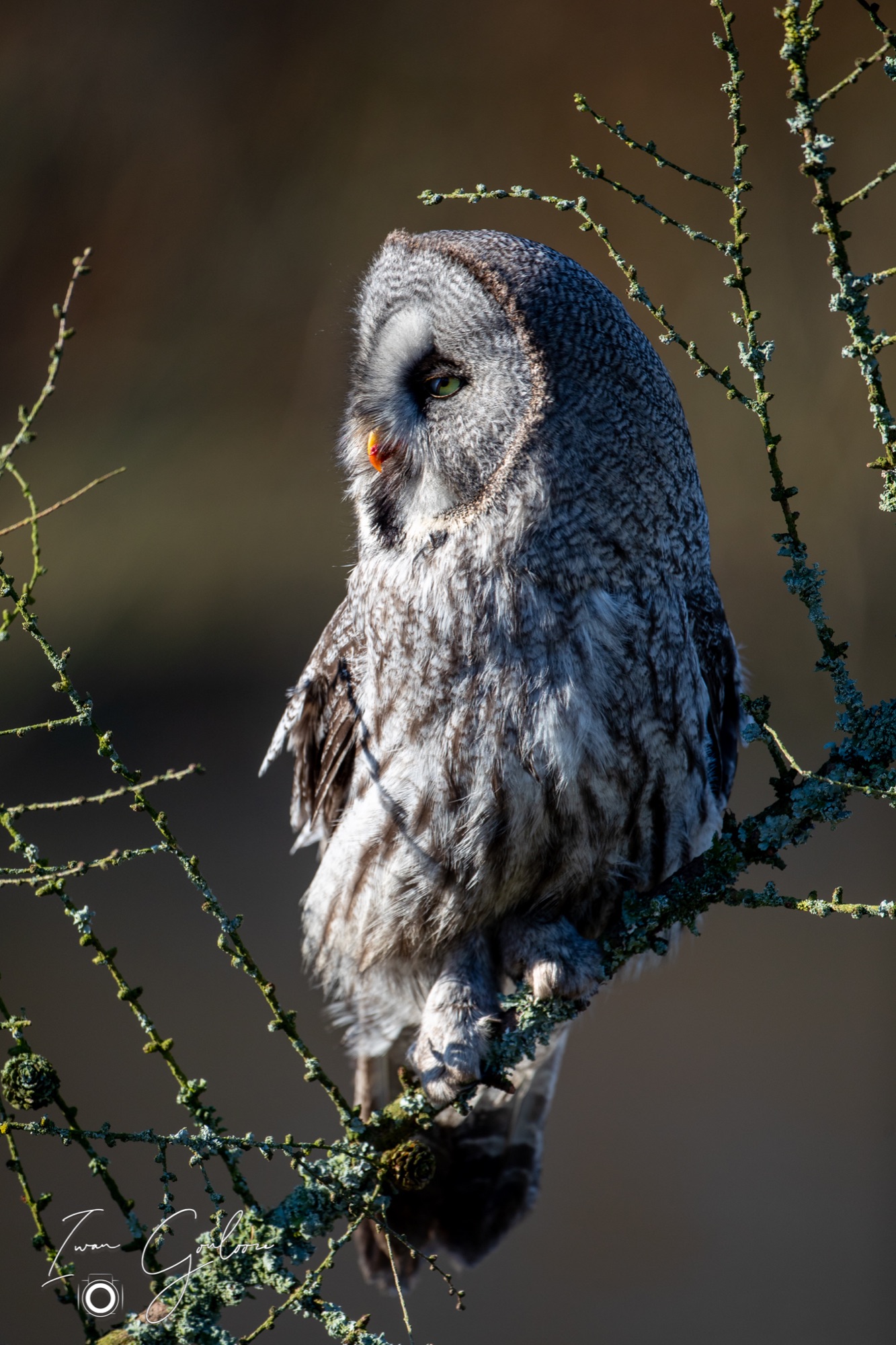 04 maart 2022 153845 1DX44078